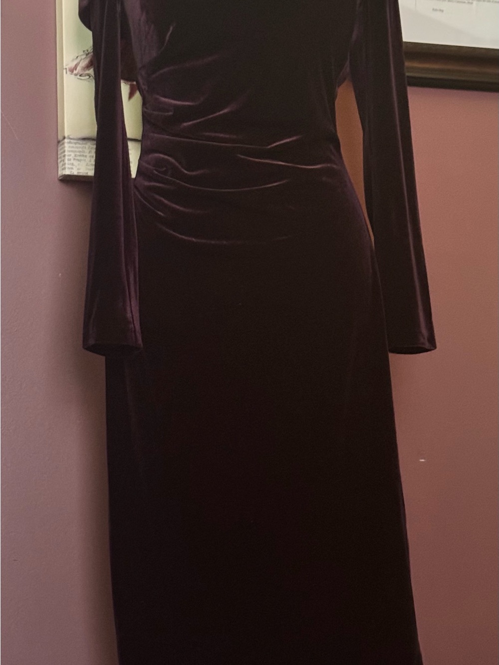 Xscape Long Sleeve Velvet Gown in Deep Purple